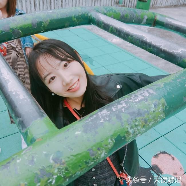 香港旅游攻略简介100字,香港旅游攻略网站推荐一下