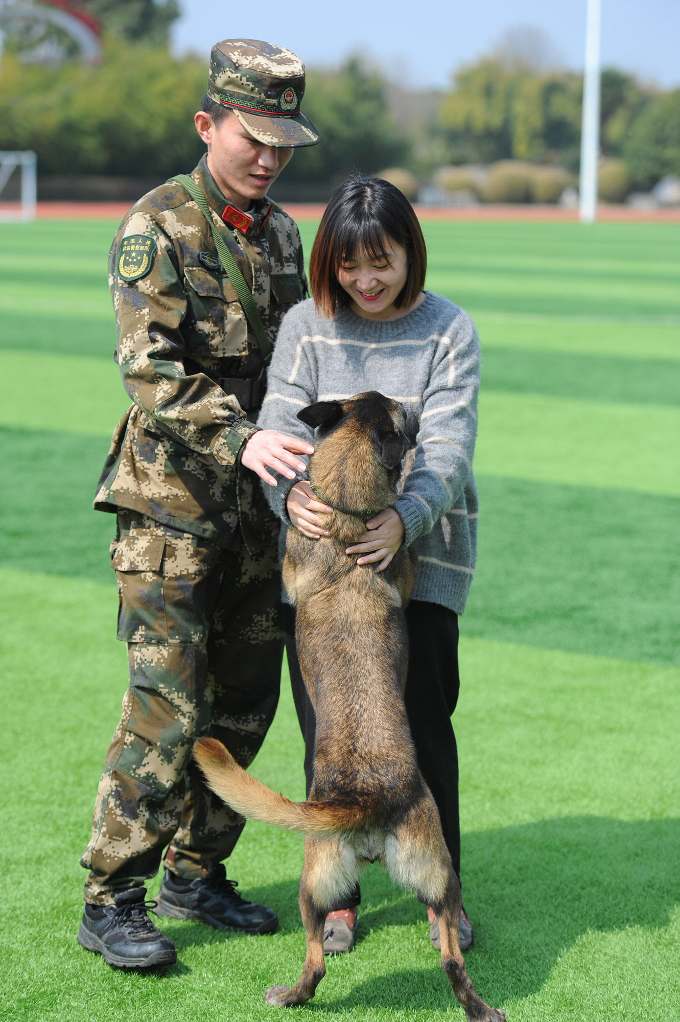 搜救犬跳火圈完整视频,搜救犬在演练中发现幸存者的眼神