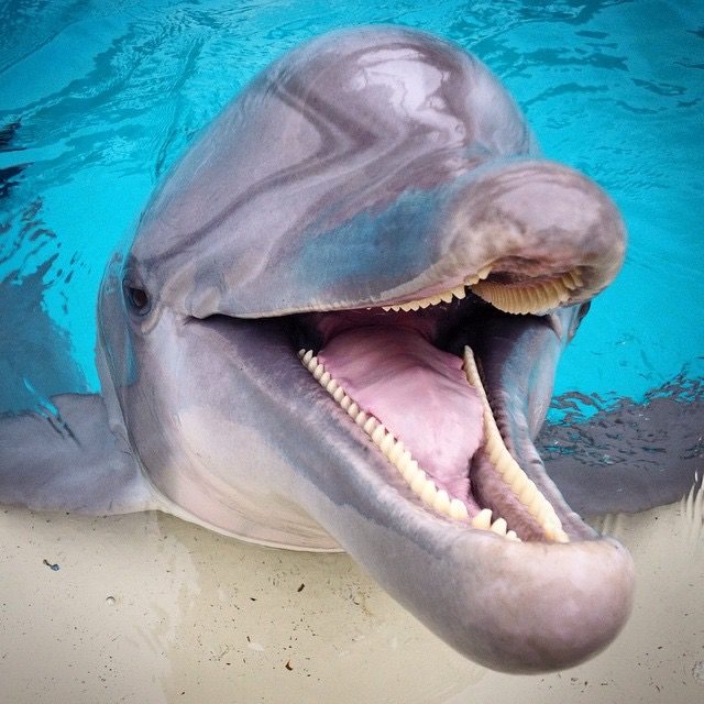 春天没能一起放风筝夏天一起看海,春天去不去旅游