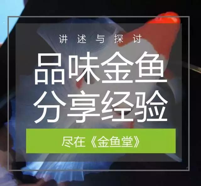 新手水草缸开缸及养水步骤,开缸养水静置还是开过滤泵