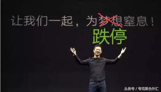 揭秘贾老板为什么敢回国,贾老板的正经事