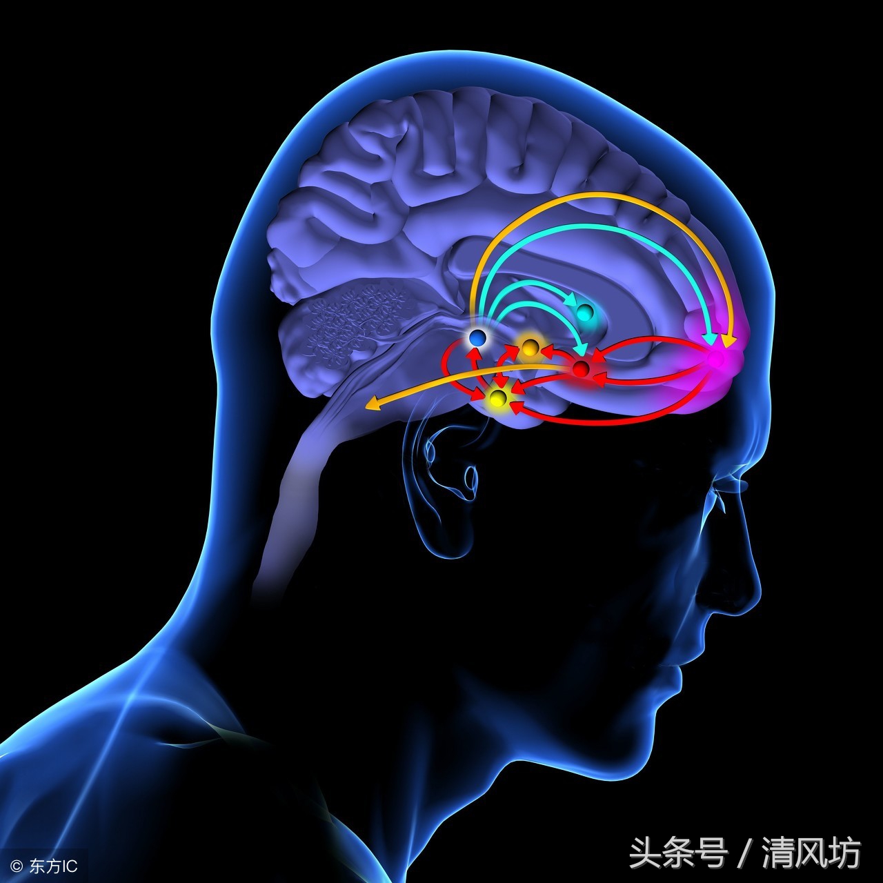 人体衰老是从什么时候开始的,人体衰老的十个步骤详细图解
