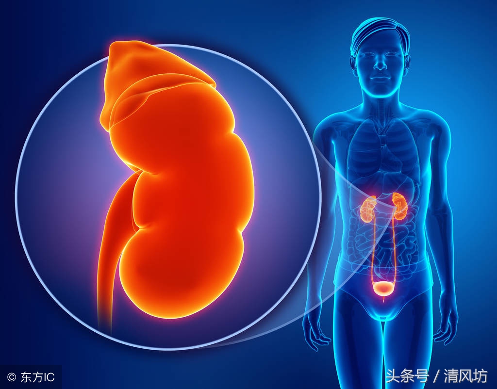 人体衰老是从什么时候开始的,人体衰老的十个步骤详细图解