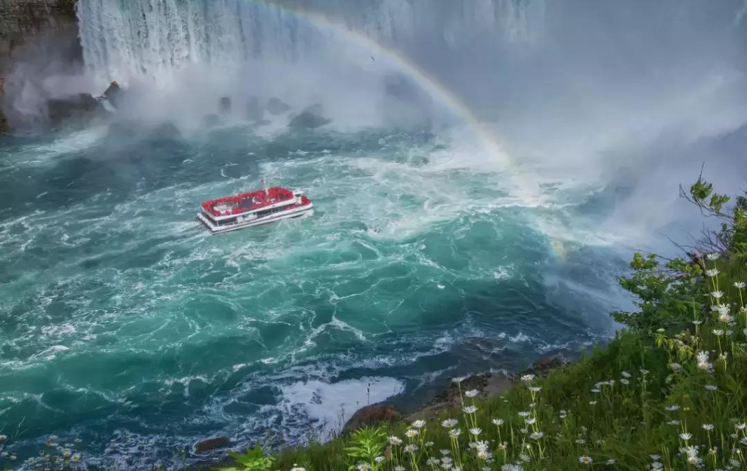 旅游签证被拒护照怎么刷白,旅游签证被拒签怎么办理护照