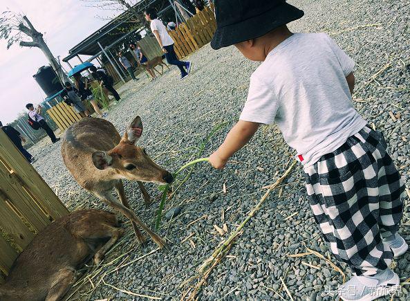 台湾垦丁如何玩,台湾垦丁怎样