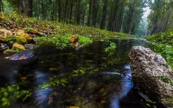 北京各区16处免费森林公园,北京最新40个公园