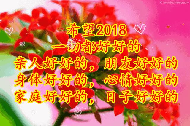 刚出的群主相册,有群的都看看,太美了,这一辈子见一次值了!