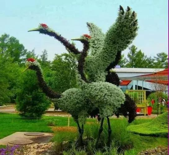 刚出的群主相册,有群的都看看,太美了,这一辈子见一次值了!