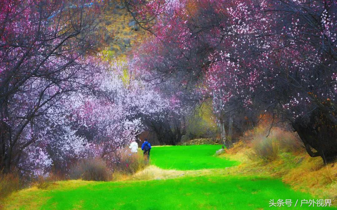 中国3月适合自驾的地方,自驾藏南旅游攻略