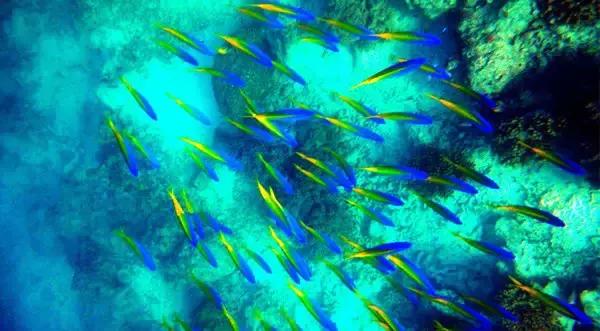 夏天一定要去一次沙巴吗,什么时候去沙巴旅游最适宜