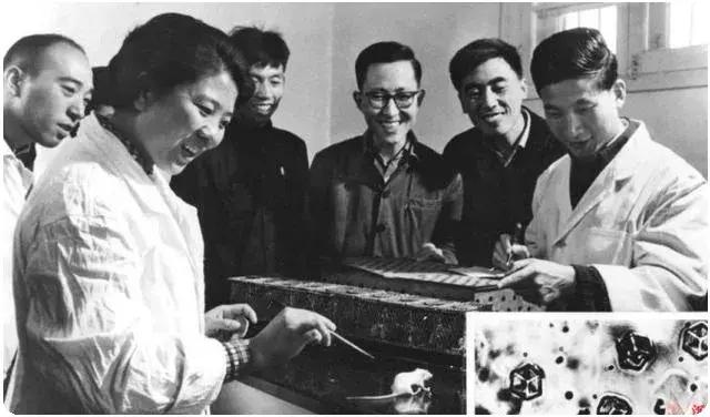 以前的中医在国外有多厉害,外国中医发展得怎样