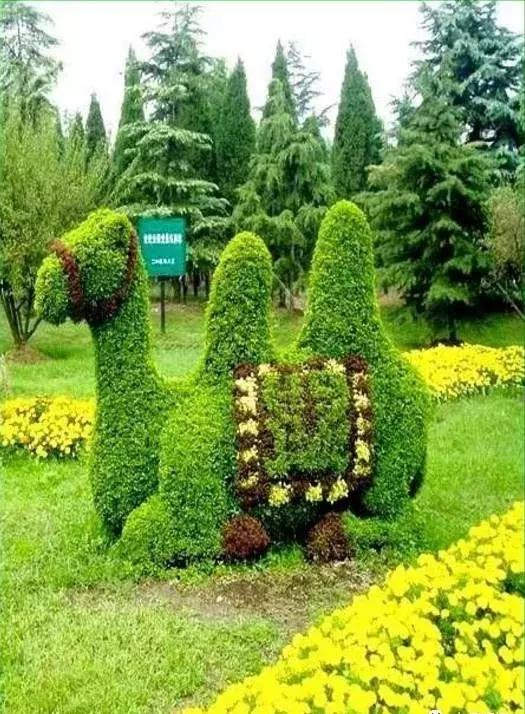 11月4,有群的都看看,太美了,这一辈子见一次值了!