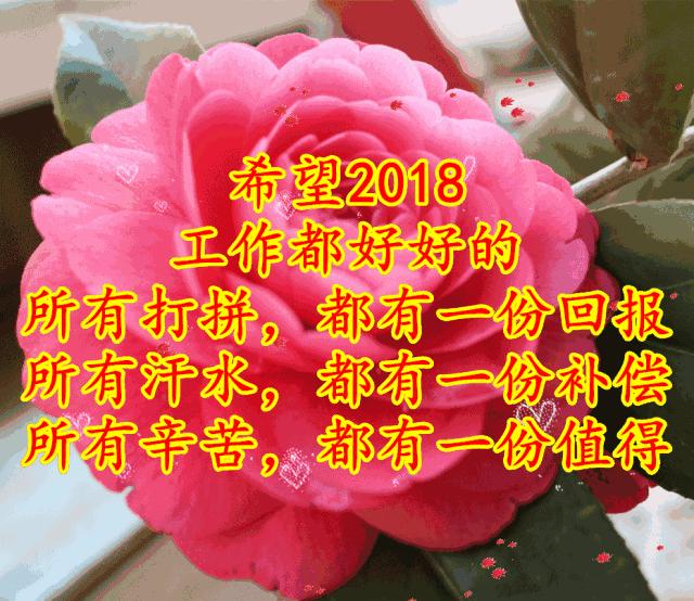 刚出的群主相册,有群的都看看,太美了,这一辈子见一次值了!