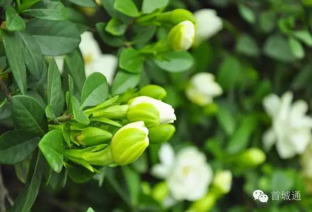 相约南溪古城夜景,相约南溪