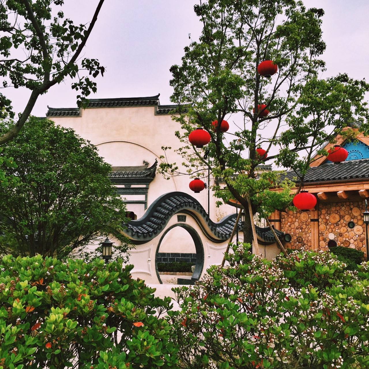 Low逼狗带|仙女仙眼里的上海迪士尼~