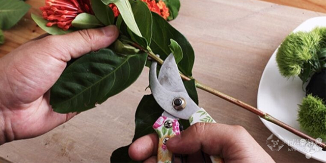 巨舰大炮时代的落幕,巨舰大炮的绝唱