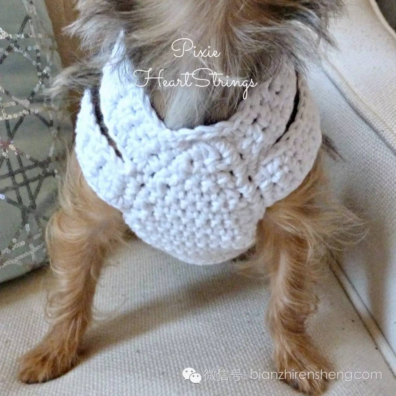 钩针钩狗狗怎么钩,大狗狗钩针教程