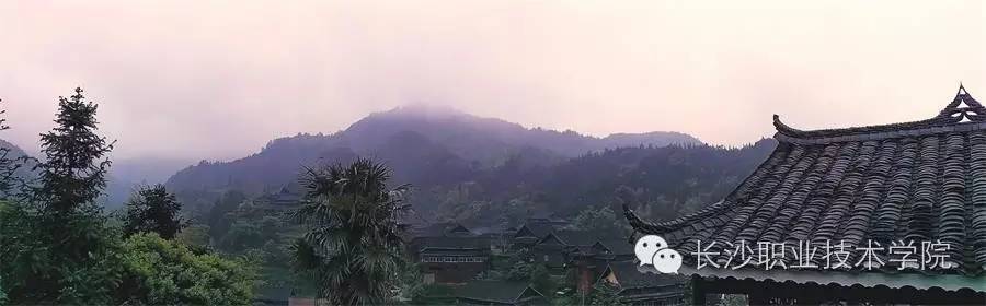 来稿我的大学生活比你多了道风景
