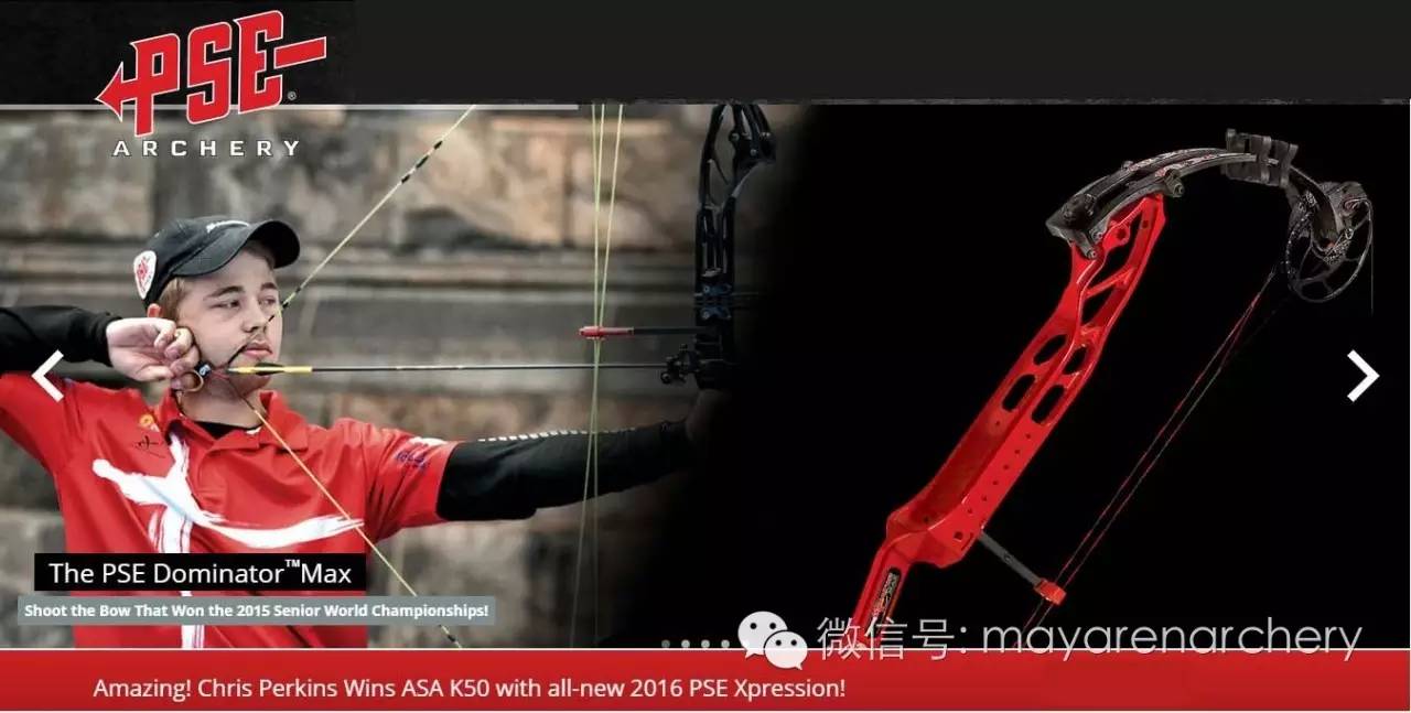 pse杞欢,psp浠嬬粛