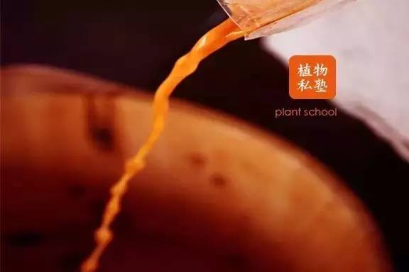 江南碧苍苍,五月枇杷黄