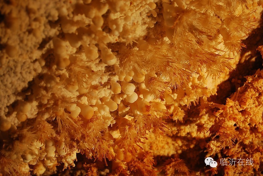 请不要听说临沂，请听临沂说......