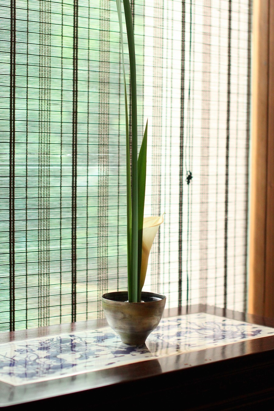 饭后感|福和慧和一粒湿的黑松露