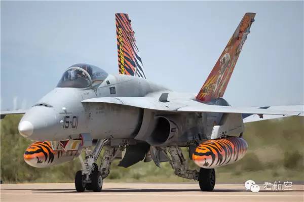 视觉|没去过老虎会？没关系，看航空带你穿越去现场