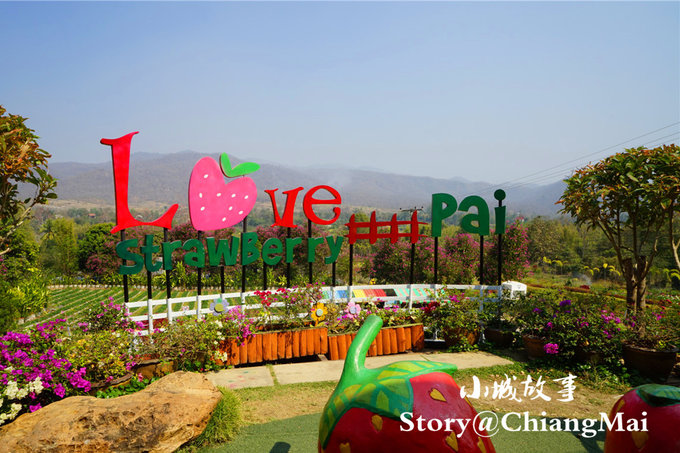 为了忘却的记忆笔记,为了忘却的记忆2013