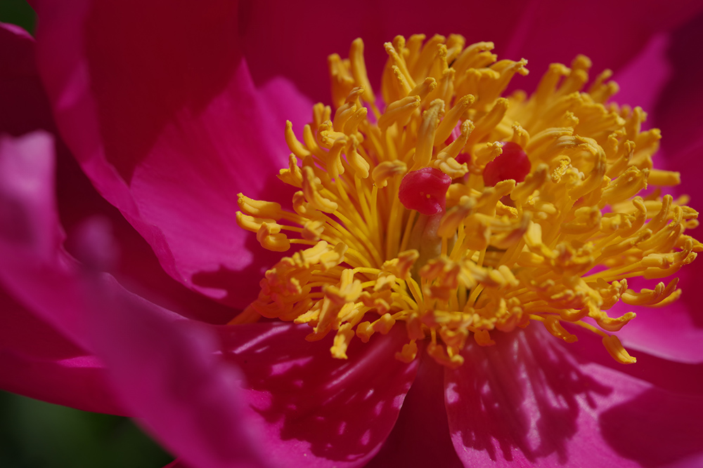 宾得k-01是全画幅吗,宾得全画幅镜头100-3000