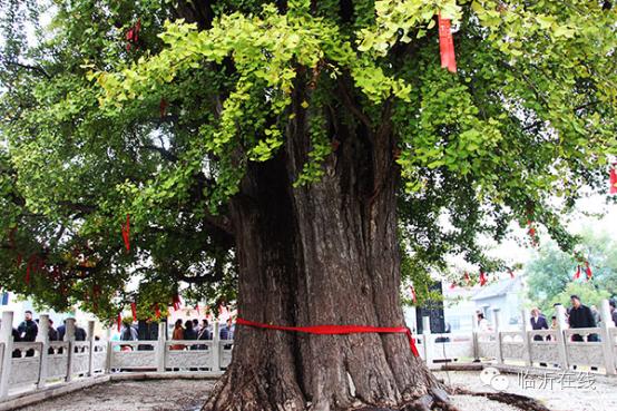 请不要听说临沂，请听临沂说......