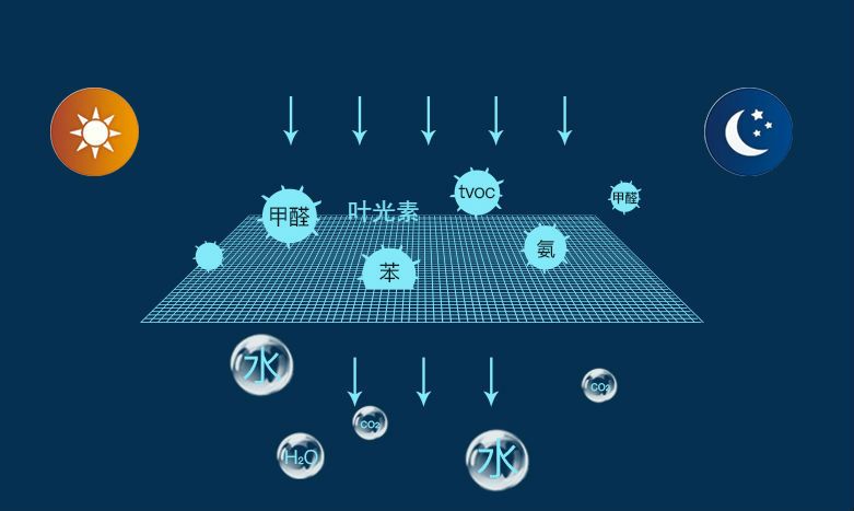 甲醛中毒怎么办自己有办法解毒吗,装修甲醛会导致身体出现哪些状况