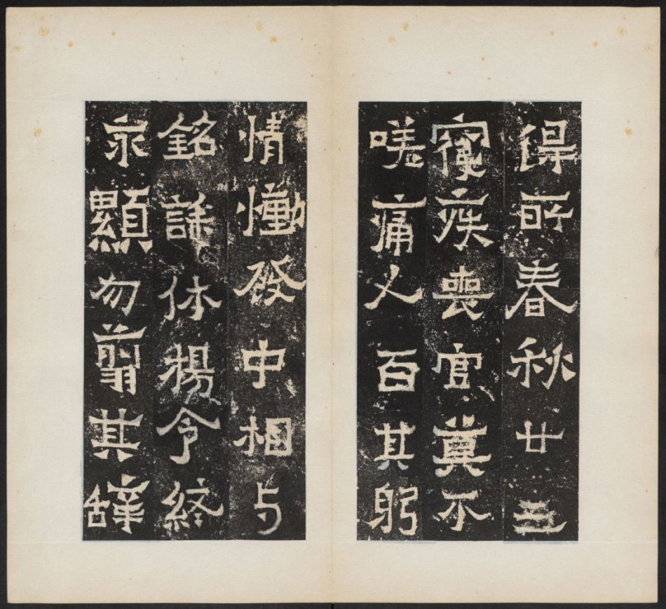 爨宝子碑与爨龙颜碑在哪里,爨宝子碑视频素材