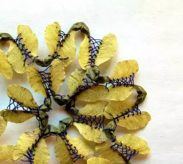 厉害了我的国创新的中国,厉害了我的国创新片段