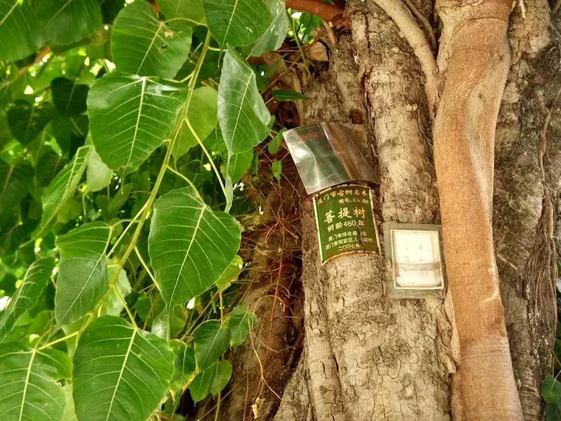 大嶝岛红砖古厝民宿,厦门翔安古厝民宿