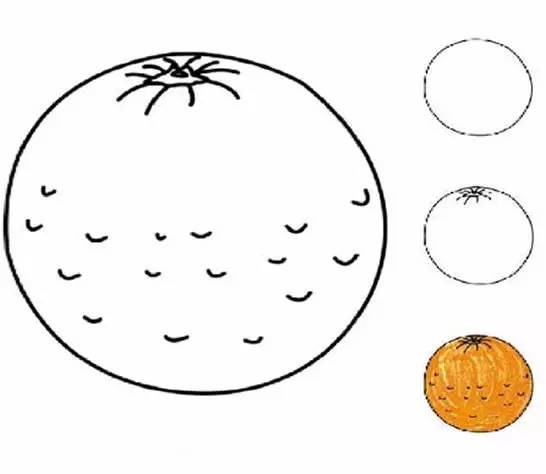 瓜果蔬菜简笔画大全最简单漂亮,儿童简笔画水果5-7岁简单入门