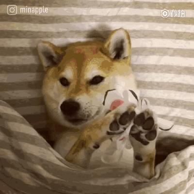 日本面膜哪个牌子性价比高,日本哪一款补水面膜好