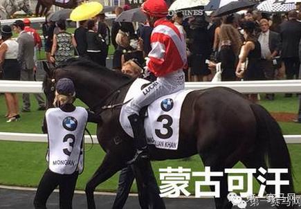 莱德马业倒闭,莱德马业内蒙古赛马进展