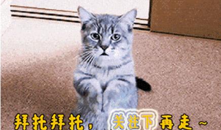 马化腾如何解释微信冻结资金,马化腾把微信冻结了怎么办