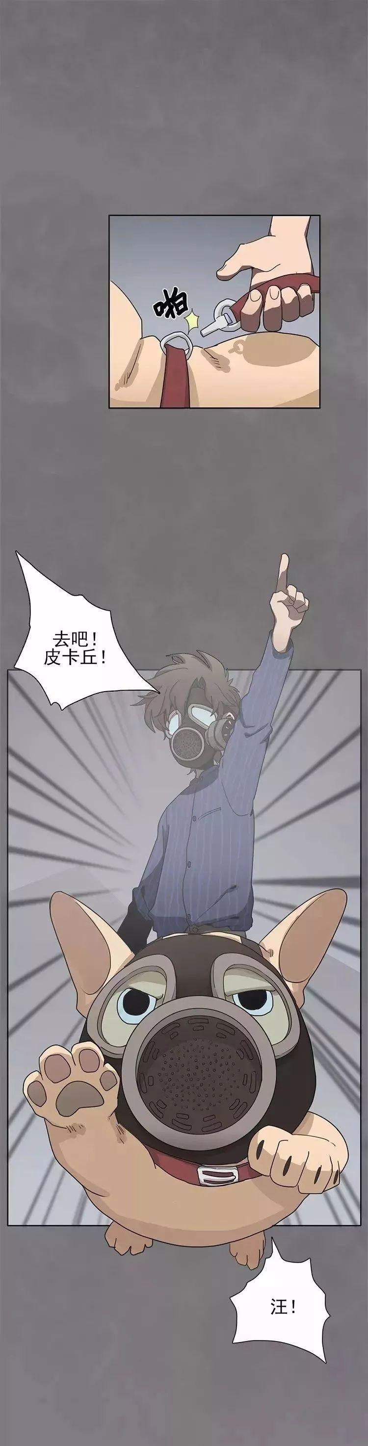 猫和铲屎官的日常生活漫画,铲屎官的搞笑漫画