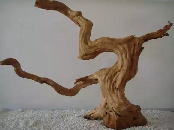 杜鹃根水草缸图片和视频,杜鹃根造景需要素材在哪里