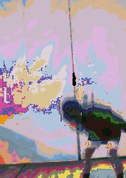 易烊千玺00后领头,易烊千玺00后大佬