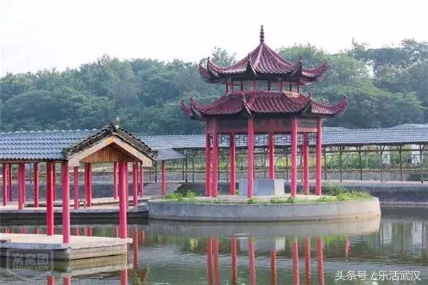 武汉春游两日游攻略大全,武汉春游适合去哪里玩