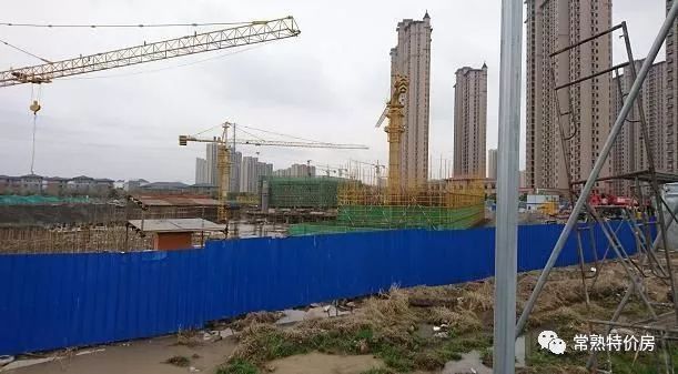 深度好文全文阅读,深度好文最新