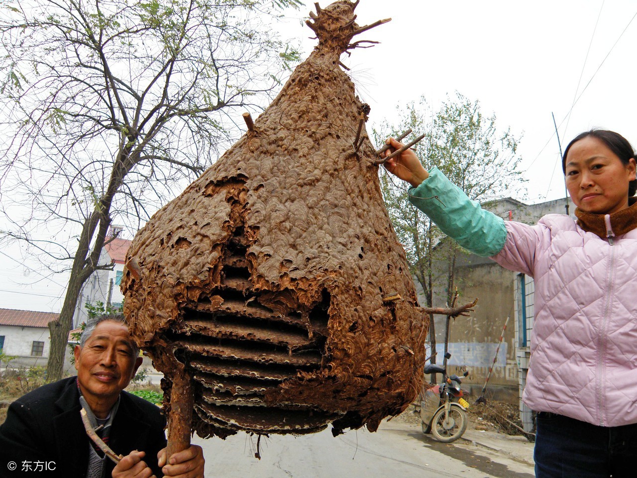 100个超级有趣的冷知识100字,3个有趣的冷知识