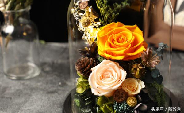 闺蜜礼物永生花,永生花diy礼物