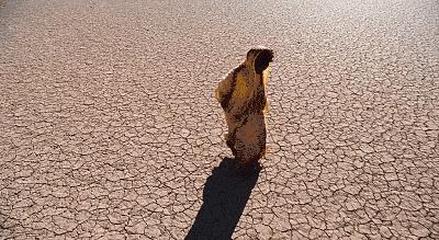 鍏ㄧ悆20澶ф渶娈嬪繊閰峰垜,鍏ㄤ笘鐣屾湁澶氬皯濡囧コ閬彈渚靛