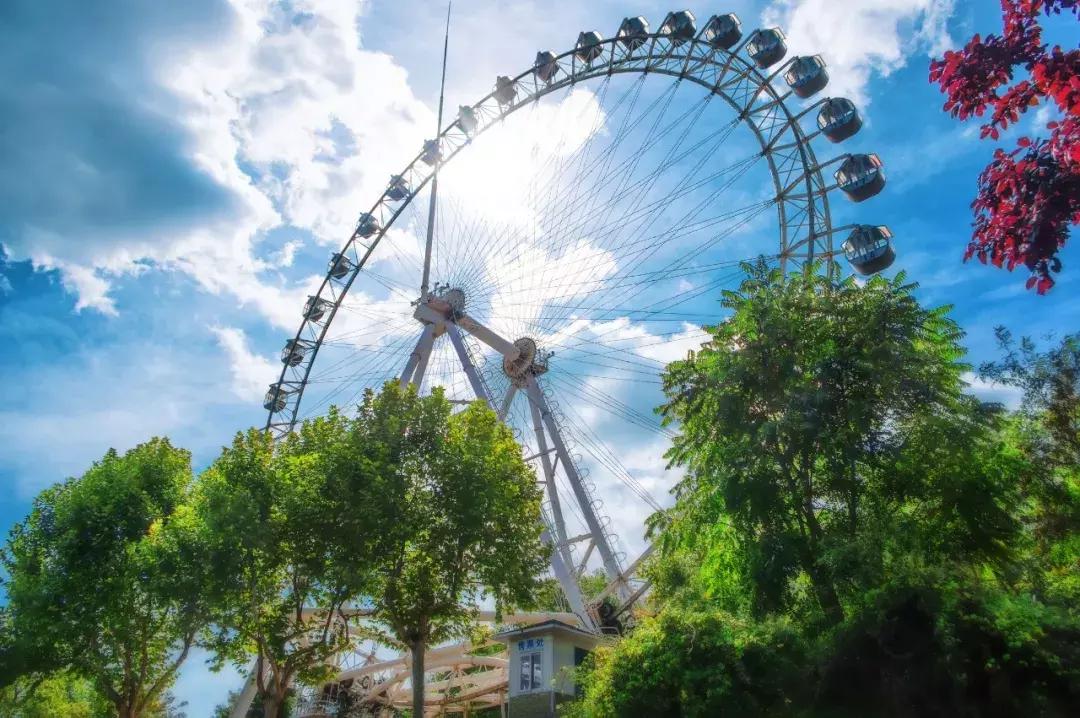 这个有用！外地朋友来大连就用这条微信带他们玩挺全的！