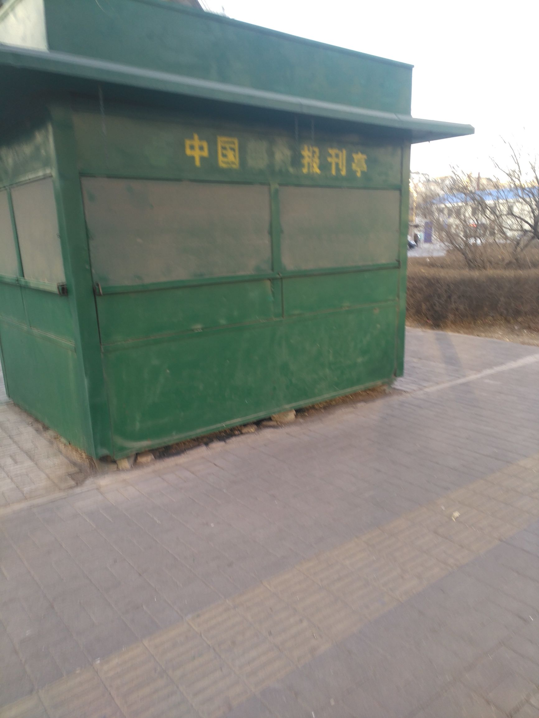 我与体坛摘抄,我与体坛