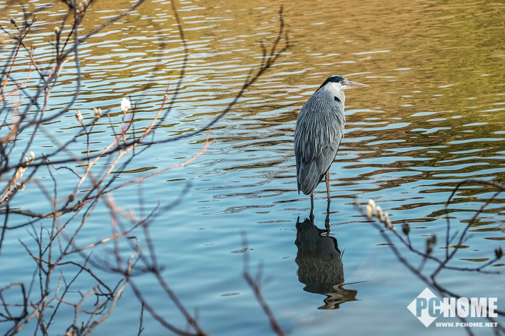xh1富士拍夜景,x-h1富士