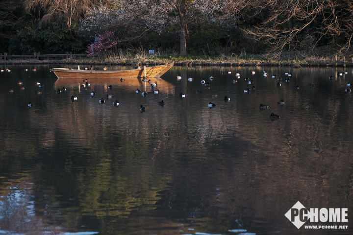 xh1富士拍夜景,x-h1富士